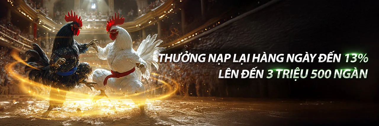 Đá Gà Trực Tuyến 777king99 Link Mới